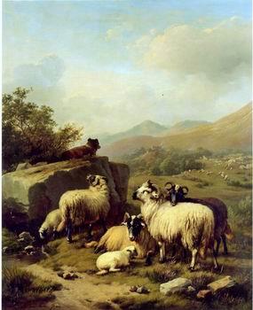 unknow artist Sheep 083 France oil painting art
